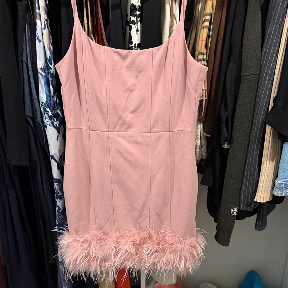 Elegant Pink Feather Trim Dress